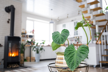 Similar image 21362954