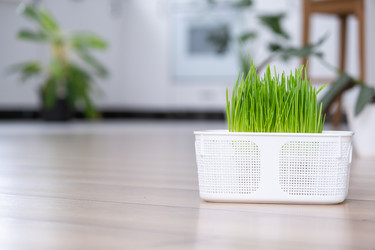 Similar image 21362959