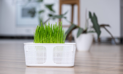 Similar image 21363067