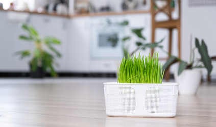 Similar image 21363069