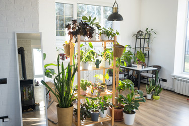 Similar image 21363076