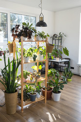 Similar image 21363078