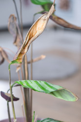 Similar image 21363079