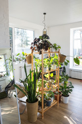 Similar image 21363080