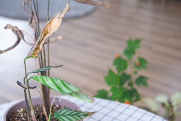 Similar image 21363081