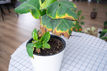 Similar image 21363083