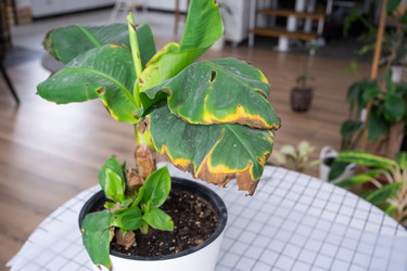 Similar image 21363401