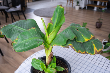 Similar image 21363403