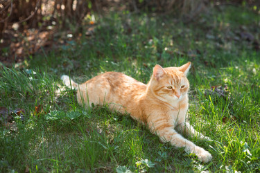 Similar image 21363404