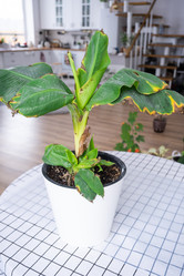 Similar image 21363421