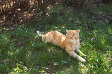 Similar image 21363422