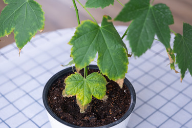 Similar image 21363428