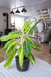 Similar image 21363446