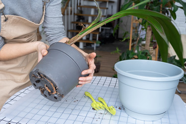 Similar image 21363449