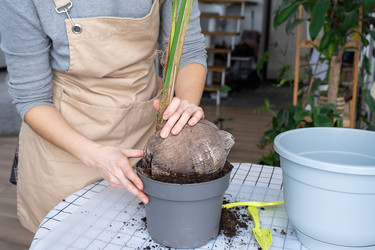 Similar image 21362963