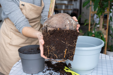 Similar image 21362965