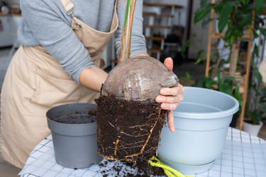 Similar image 21362966