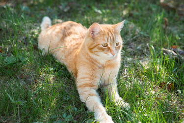 Similar image 21362968