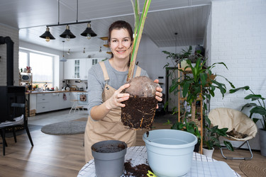 Similar image 21362972