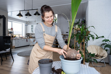 Similar image 21362973