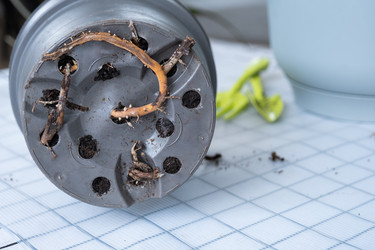 Similar image 21362987