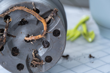 Similar image 21362988