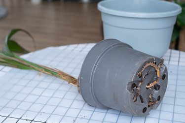 Similar image 21362989