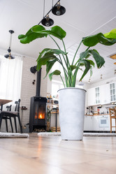 Similar image 21362993