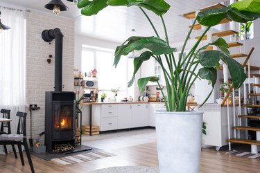 Similar image 21362999