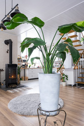 Similar image 21363001