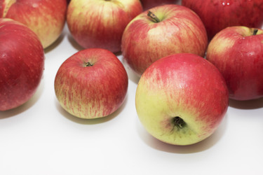 Similar image 21348300