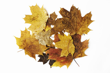 Similar image 21348303