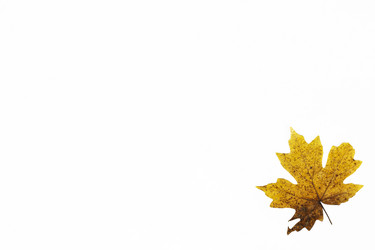 Similar image 21348305