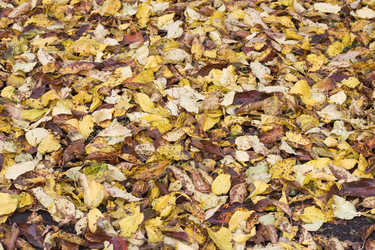 Similar image 21348307