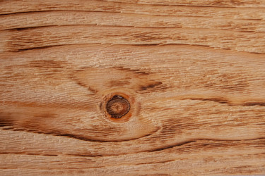 Similar image 21347328