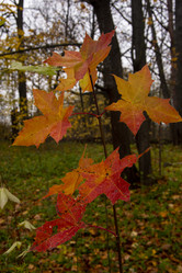 Similar image 21344202