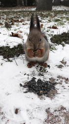 Similar image 21344204