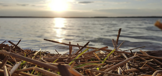 Similar image 21344205