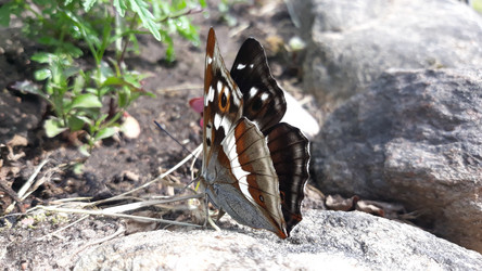 Similar image 21344206