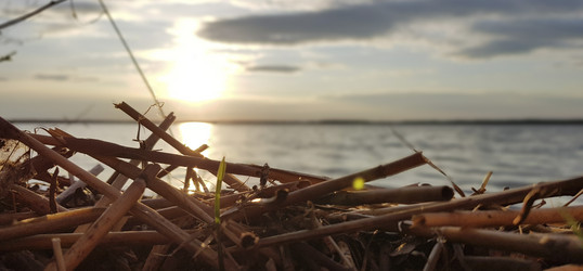 Similar image 21344207