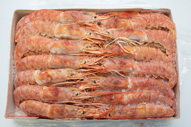 Similar image 21364504