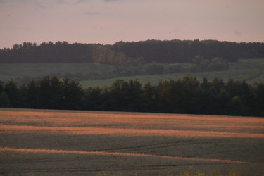 Similar image 21355317