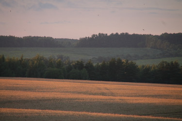 Similar image 21355318