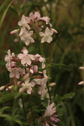 Similar image 21355320