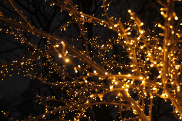 Similar image 21355328