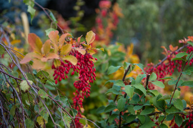 Similar image 21364512