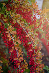 Similar image 21364513