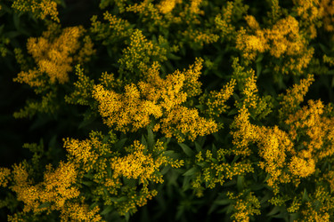 Similar image 21364515