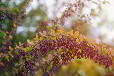 Similar image 21364517