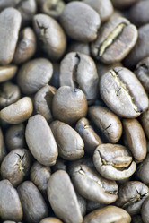 Similar image 21343843